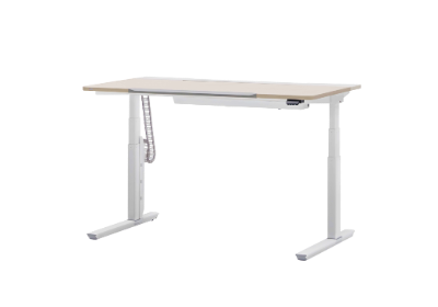 MOTION DESK EX